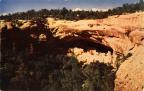 Thumbnail for 'Mesa Verde National Park, Colorado (Cliff Palace)'