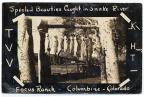 Thumbnail for 'Specled [sic] beauties caught in Snake River, Focus Ranch, Columbine, Colorado'