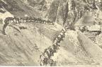 Thumbnail for 'Mule Train, Nellie Mine near Telluride, Colo.'