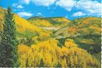 Thumbnail for 'Golden aspens blanket Southwestern Colorado.'