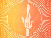 Thumbnail for 'Sun Cactus'