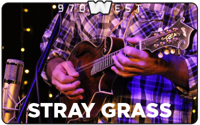 Stray Grass Videos