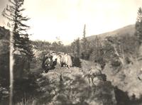 Thumbnail for 'Independence Pass Outing'