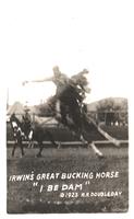 Thumbnail for 'Irwin's Great Bucking Horse'