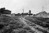 Thumbnail for 'Sedalia Mine in Chaffee County, Colorado'