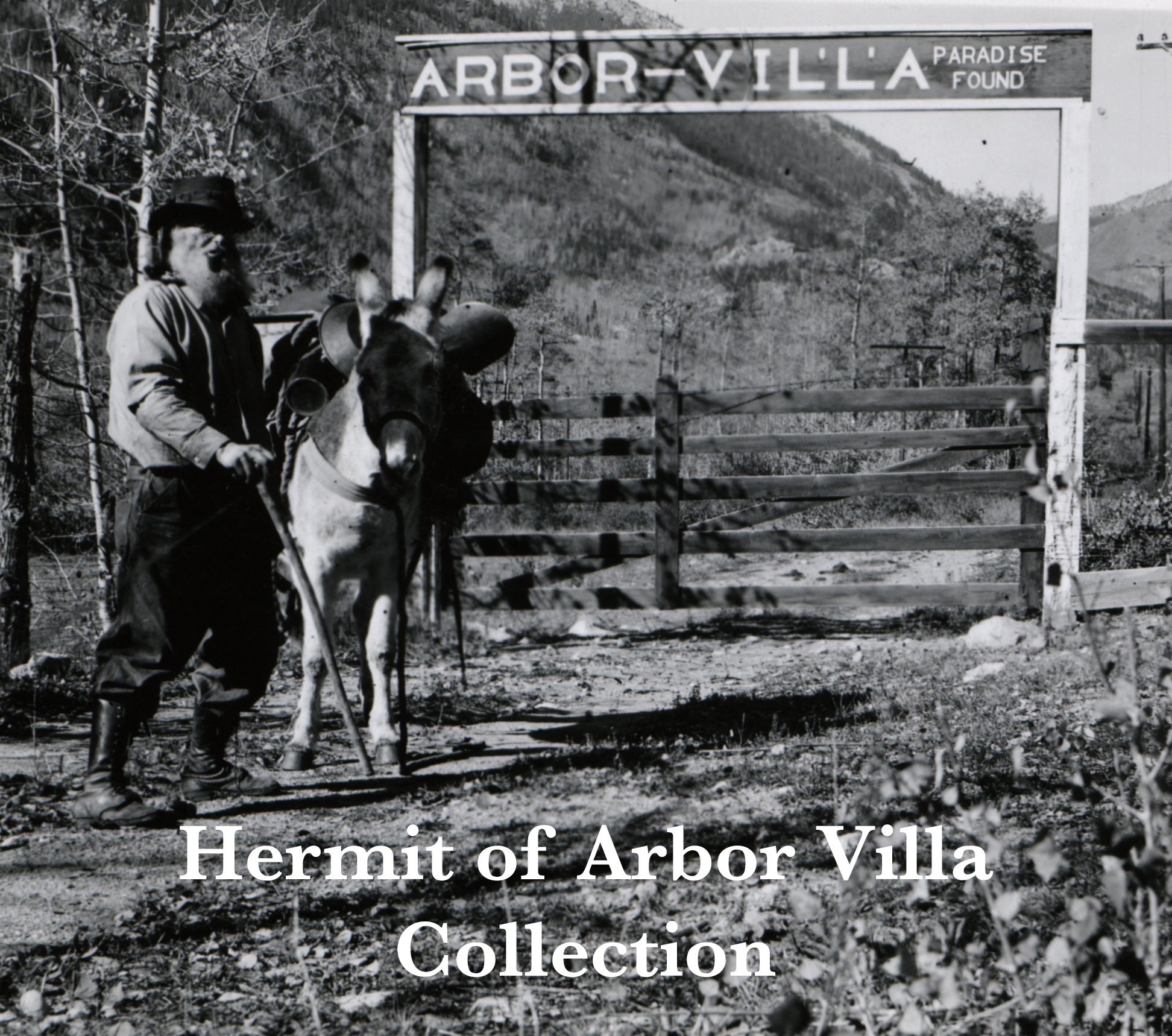 Hermit of Arbor Villa Collection|urlencode