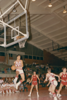 Thumbnail for 'A Mountaineer player brings down a rebound during a game in Mountaineer Gym, ca. 1969.'