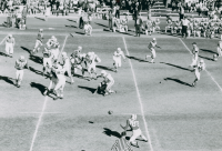 Thumbnail for 'The Mountaineer offense attempts a pass completion in 1964 football action'