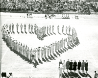 Thumbnail for 'The Mountaineer Marching Band in a heart formation'