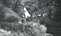 Thumbnail for 'Hiking and Outing Club members on a horseback trip, circa late 1930s.'