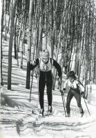 Thumbnail for 'Cross country ski competitors ski through the aspen, 1980s.'