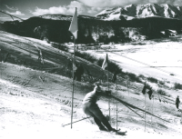 Thumbnail for 'Slalom competitor in the 1960s.'