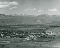 Thumbnail for 'Aerial view of campus looking northwest, circa 1952'