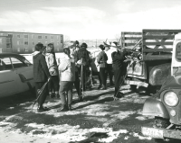 Thumbnail for 'WSC students load their ski equipment into pickup trucks before heading for Rozman Hill, late winter 1959.'