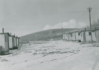 Thumbnail for 'View of a Highland Village street from the southeast toward Cupola Hill, circa 1954.'