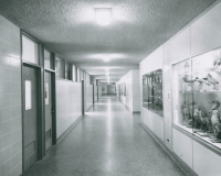 Thumbnail for 'The first floor hallway of Hurst Hall, circa early 1960s.'