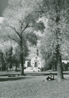 Thumbnail for 'Western students enjoy a Gunnison autumn under the cottonwoods west of Taylor Hall, circa early 1970s.'