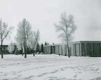 Thumbnail for 'Winter view of Savage Library from the northeast, circa late 1960s.'