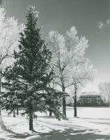 Thumbnail for 'Winter view of the WSC campus with Robidoux Hall in the background, ca. 1970s.'