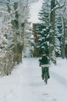 Thumbnail for 'By the 2000s, fat tire bicycles enabled many WSC students to make their way around campus by bike during the winter months. ...'