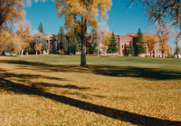 Thumbnail for 'Taylor Hall from the west through the fall foliage, ca. 2000.'
