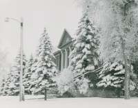 Thumbnail for 'The conifers in front of Taylor Hall are overloaded with a heavy snowfall, ca. 1950s.'