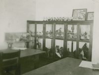 Thumbnail for 'Display cases in the old Biology classroom, Taylor Hall, 1940.'
