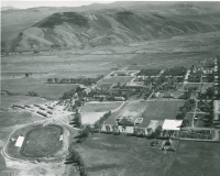 Thumbnail for 'Aerial view of campus looking south-southeast, 1952'